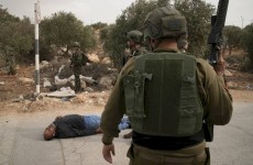 خبراء أمميون يطالبون إسرائيل بحماية المزارعين الفلسطينيين في الضفة