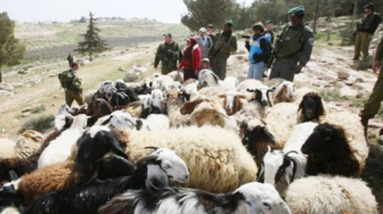 80fa0c29a9f62491f8c0edd3b8f33ef7