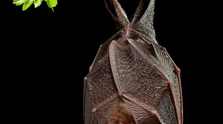 C17F2C6A-3CFB-48E2-85C2B15CD69EA737_source