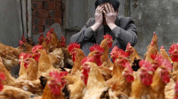 cb1bd34b699cffab4e486d048557a08b