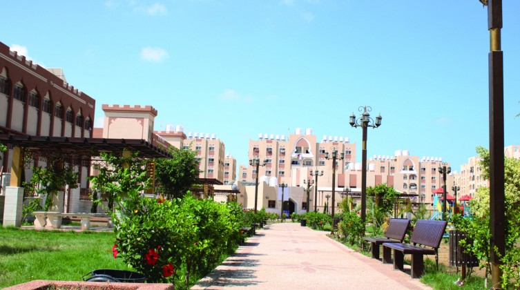 حمد
