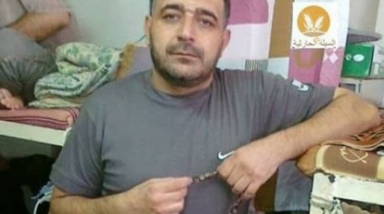 شلبي