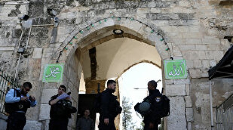 1044630992_365_0_2453_2048_309x303_80_0_0_d067b6b83e4165dc52e33b4608f57755