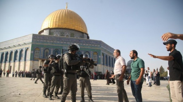 FzSKiZFQOHFTFlFNExcTAc4K1OFrDi9JZearQ4x3