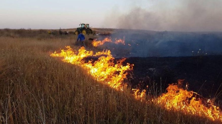الأردن: اندلاع حرائق بأعشاب جافة