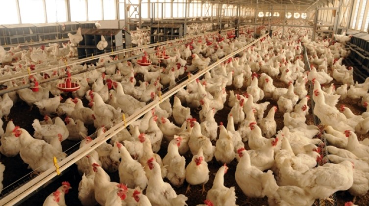 016784496dccf44365576367eb97cde2