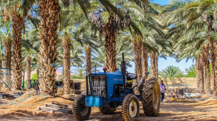 14708075_557966314395345_2692586456253015289_o