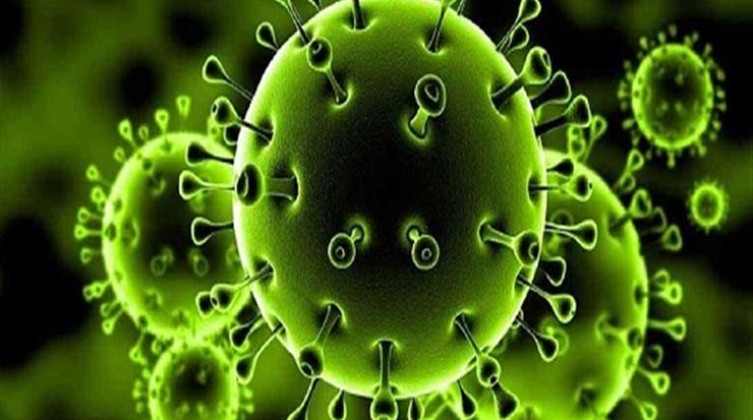 2021_5_3_14_43_42_420