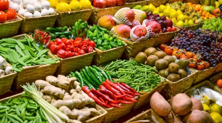 تعرف على اسعار الخضروات والدجاج واللحوم في غزة