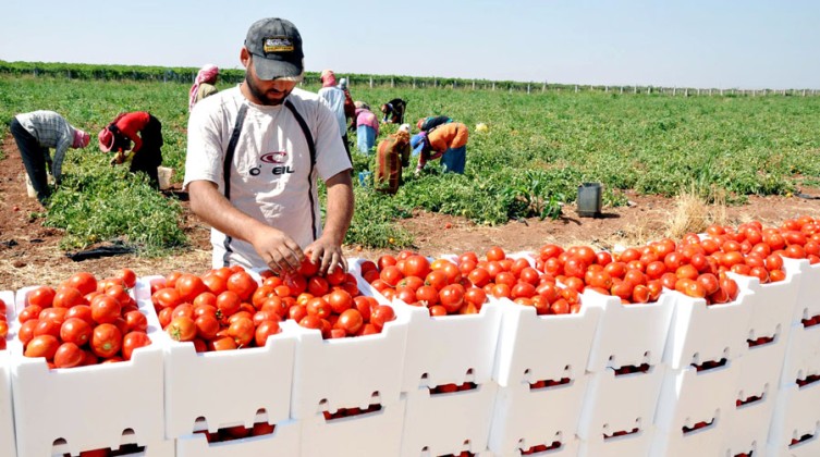 9461a35a73530cb6d07aa31906f8ca39