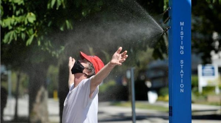 inbound2071341315127763279