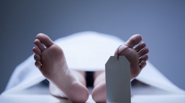 inbound6865095423137089356