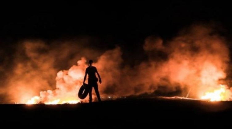 inbound7707386502847888526