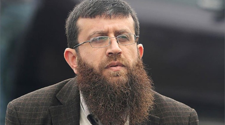 inbound8095791896161736265