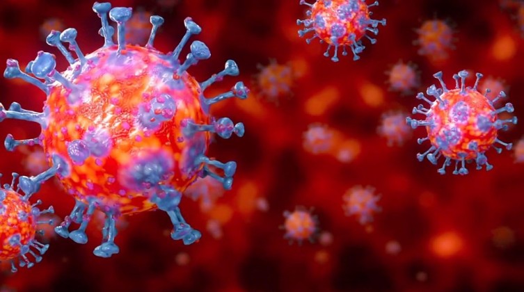 منظمة الصحة العالمية: فهم سلالة كورونا الجديدة "يحتاج إلى أسابيع عدة