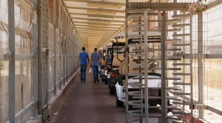 0291701803881f9cd4281d20faea9b58