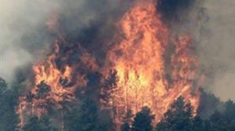 08133420778113242181563382660723