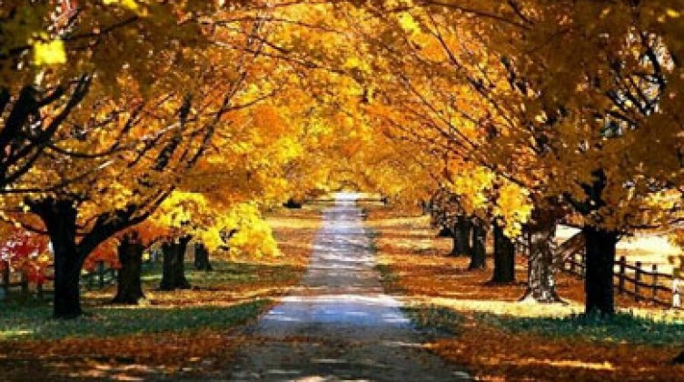 Autumn-2053