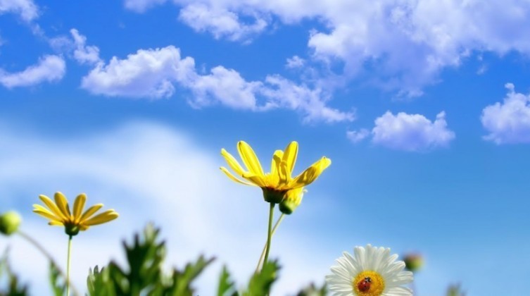 6d6064cac9a889d7a9d6dd509c87b4da