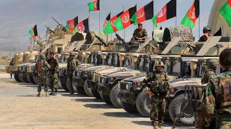 army11
