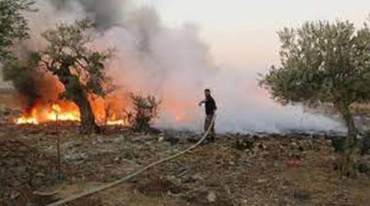 cba6496ce7b9097059d12782a0bde2d3