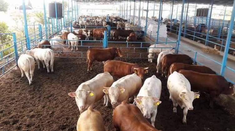 d0277c378abaa9e59284891845d4c8c2