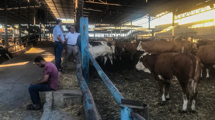 d260d219-1112-4c1c-b4b9-c960df232939