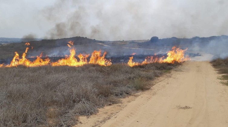 f47dd1e5ce34a557e2d98216409b0188