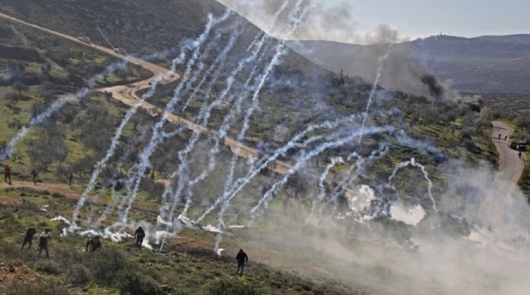 inbound4039633005758201345