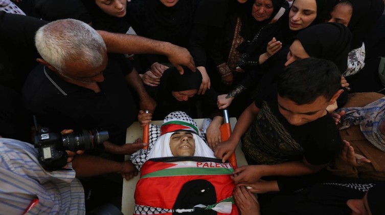 inbound5547308022271615853