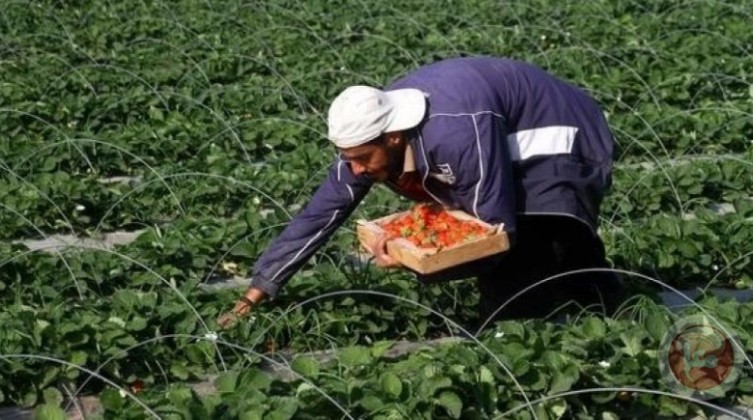 ngqbc-1627378545-jpeg-1627378545.wm