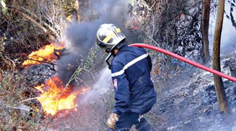 278cb075795b6193e25513cae0b803f0