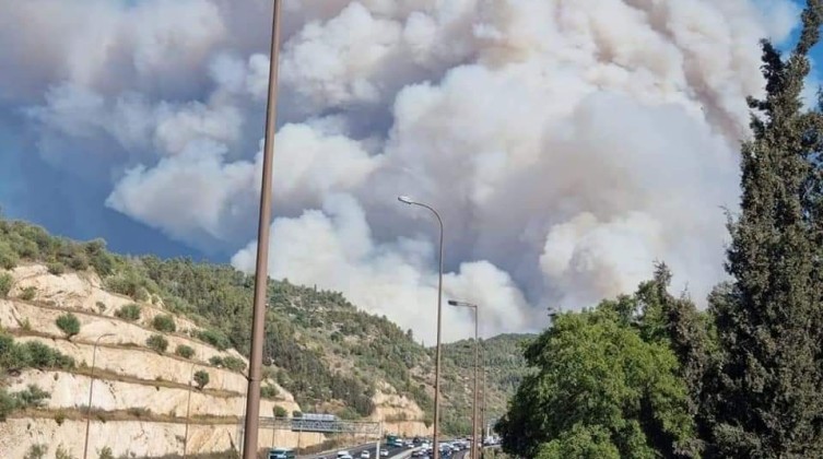 d74af375-4167-449a-8e27-756f24128d9d