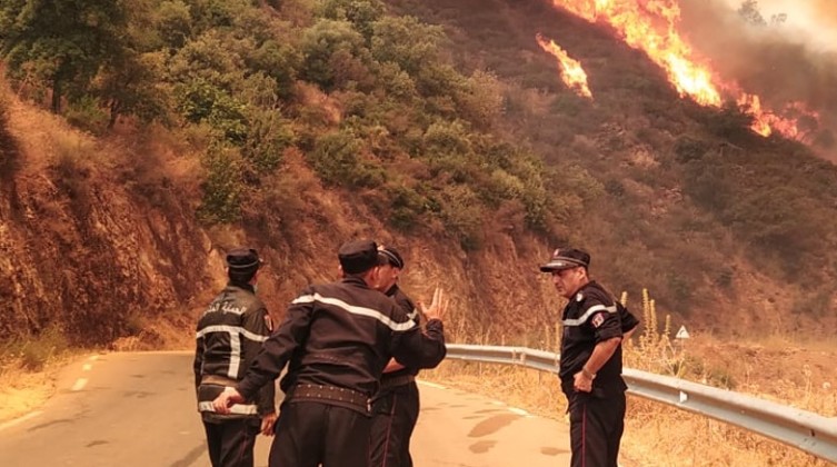 inbound5489554510586579116