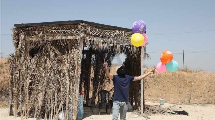 thumbs_b2_d4407d9432c79eb28560b3bf733d85e6