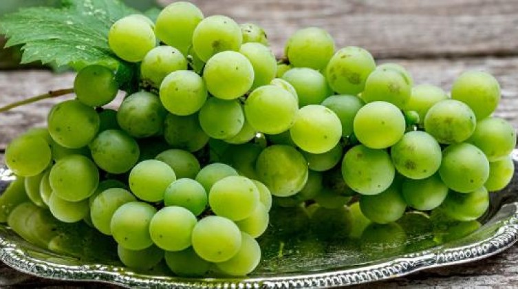 فوائد_العنب_الأخضر