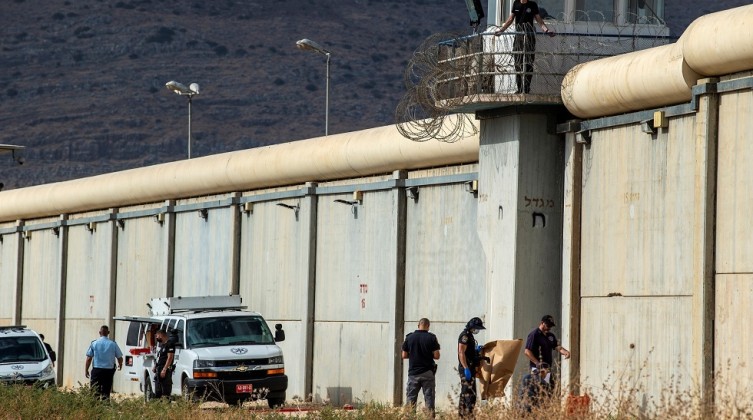 6136381d423604190b321147