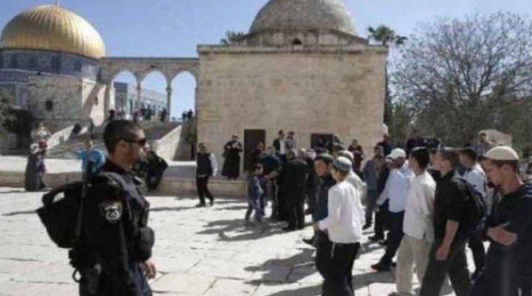 ae17552cc078ddd330b7b17cefd0564d