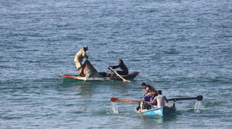 inbound2635115302433049911