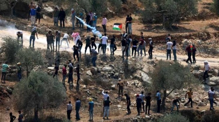 2021-08-08_11-55-36_560201-730x438