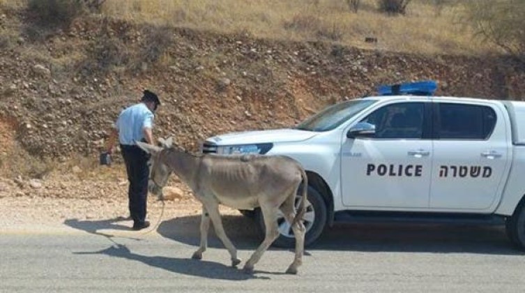 6d71c7ab-d26a-4595-90d3-2d5676eabcf3_16x9_600x338