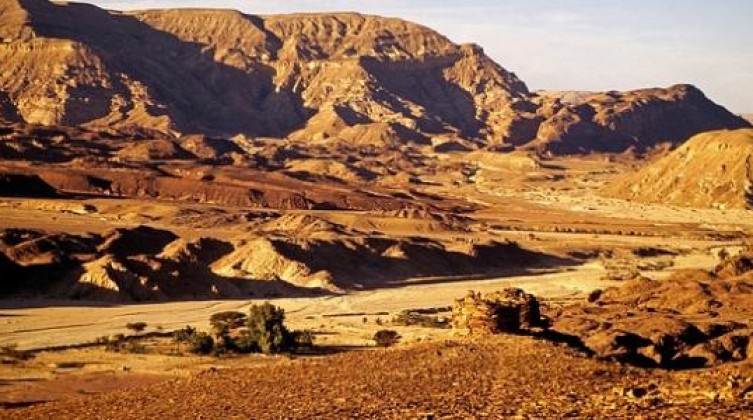 كم_تبلغ_مساحه_سيناء