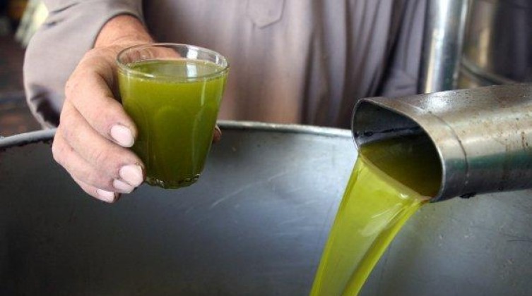 28651fca1f2f1085bafdc08154bff6f5