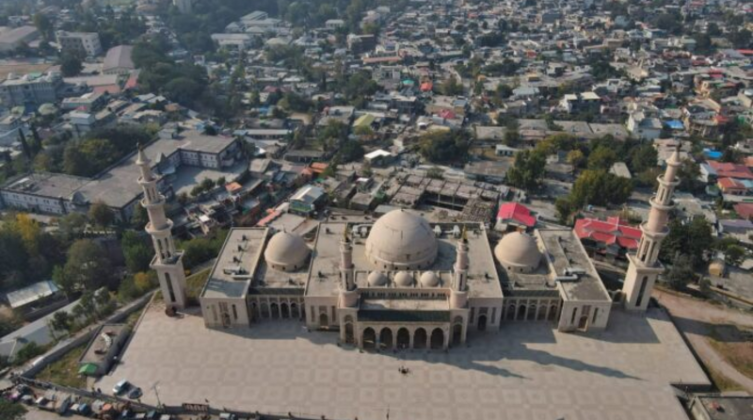 6193676d423604791f31d173