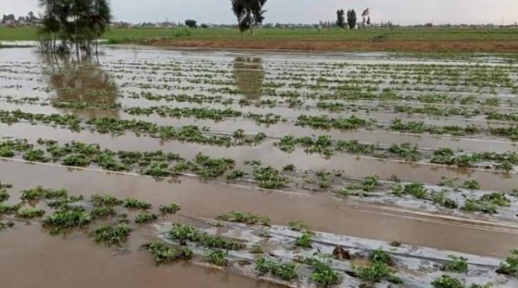 image_750x_5fddddab8984b