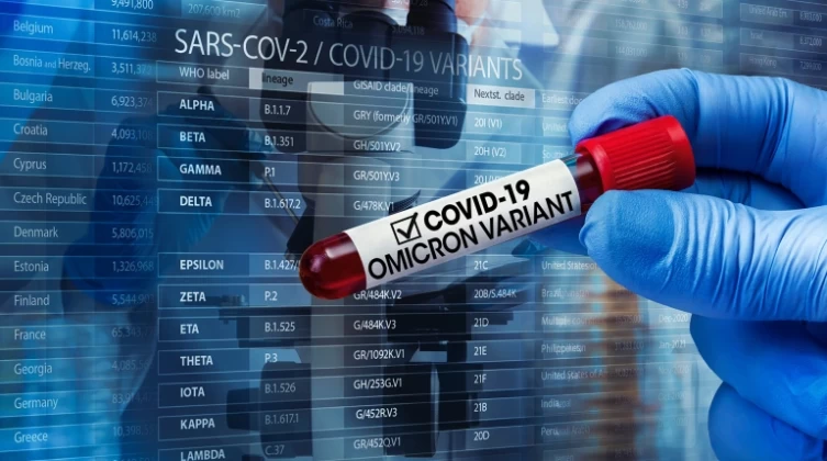 shutterstock_2081553577-1-copy