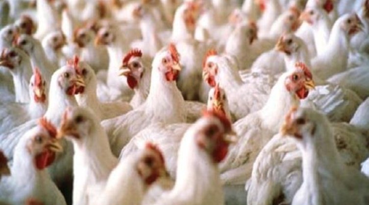 2015_10_9_20_57_0_574