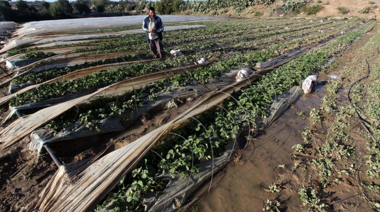 IMG_20220116_120538_610