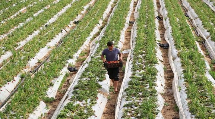 8A95D07A-15E1-4CC5-B0FD-B1A9BAC67B9A.