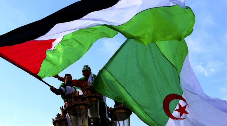 9cf730478eae51d1f347e96d495a9b55